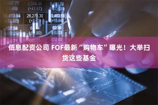 低息配资公司 FOF最新“购物车”曝光!大举扫货这些基金
